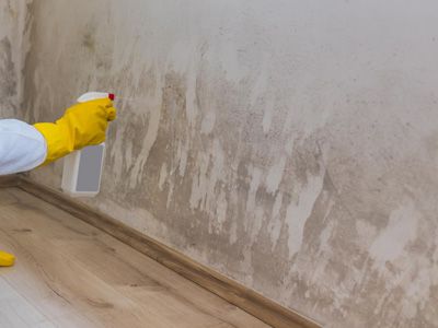 Mold Remediation