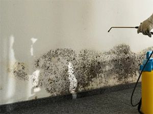 Mold Remediation, Stroudsburg, PA
