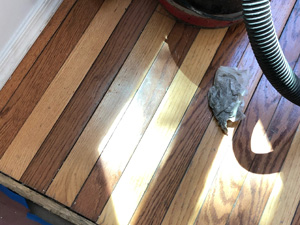 Interior Flooring Remodel, Mount Pocono, PA